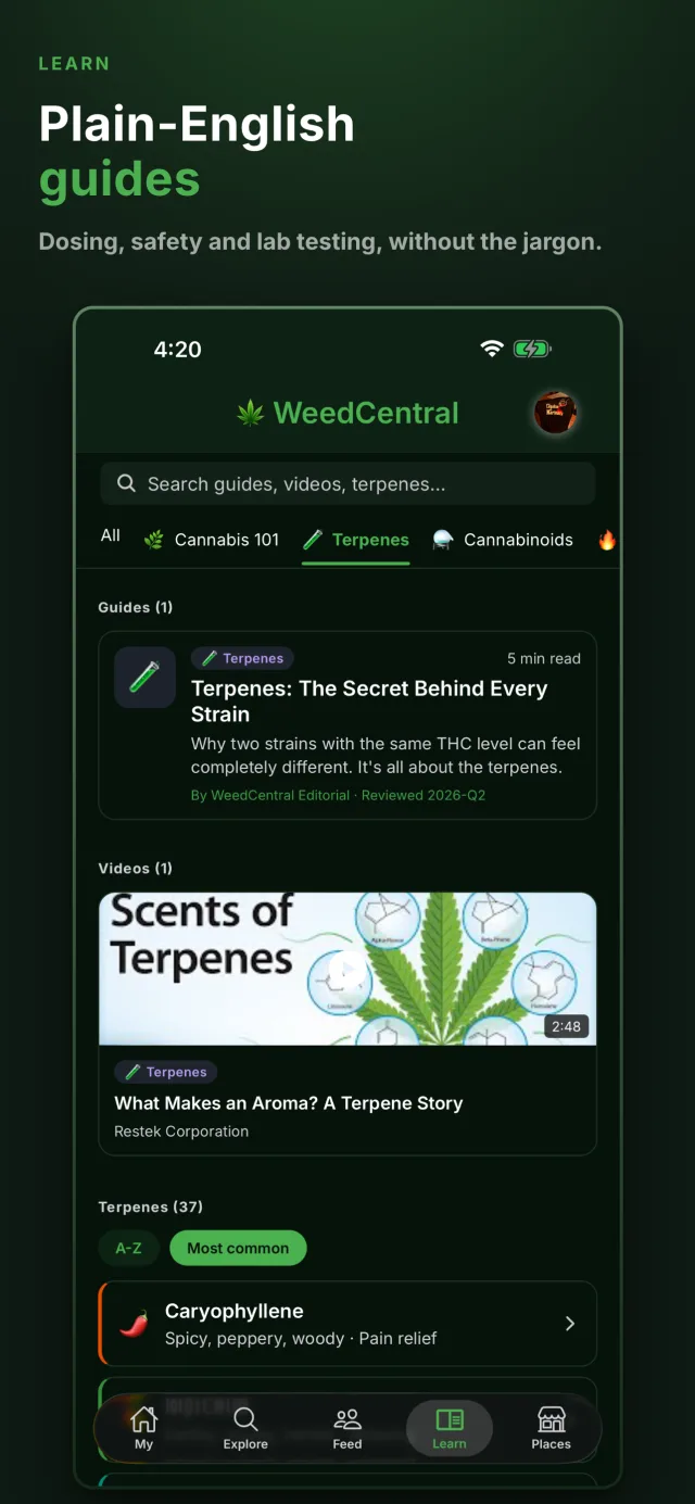 Learn screen
